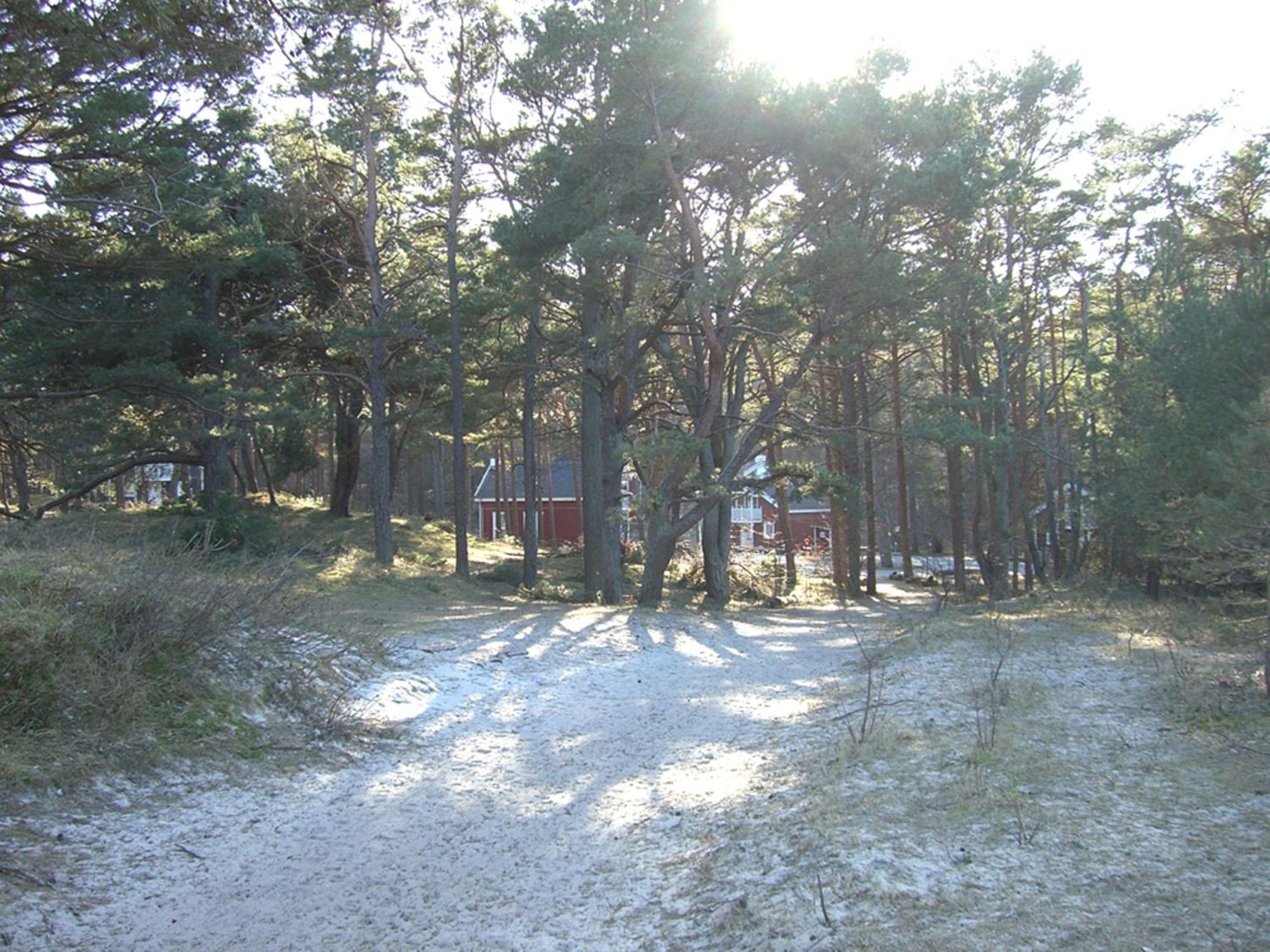באבה Haus Sandra מראה חיצוני תמונה